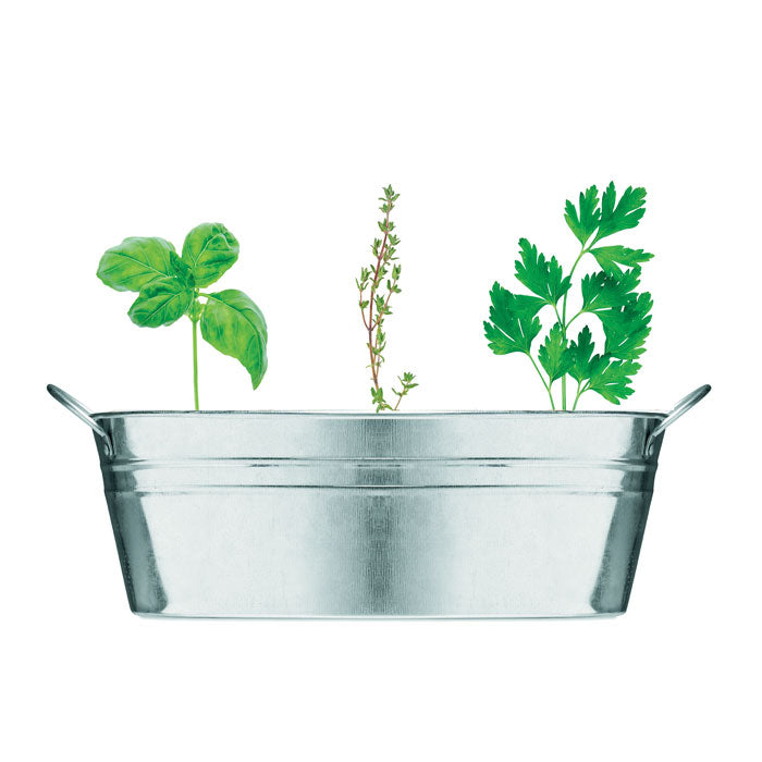 Zinkburk med 3 olika örtfrön Mix Seeds Matt silver